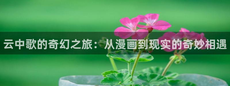 漫蛙manwa2正版下载逗游