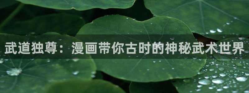 怎么下漫蛙2
