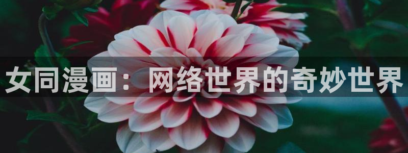 漫蛙2官网入口免费下载