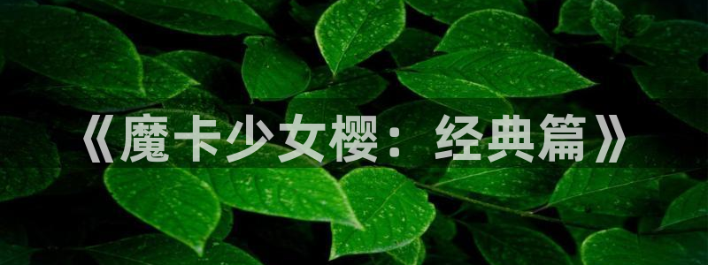 漫蛙22